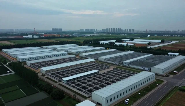 技术驱动下的行业变革与持续创新路径